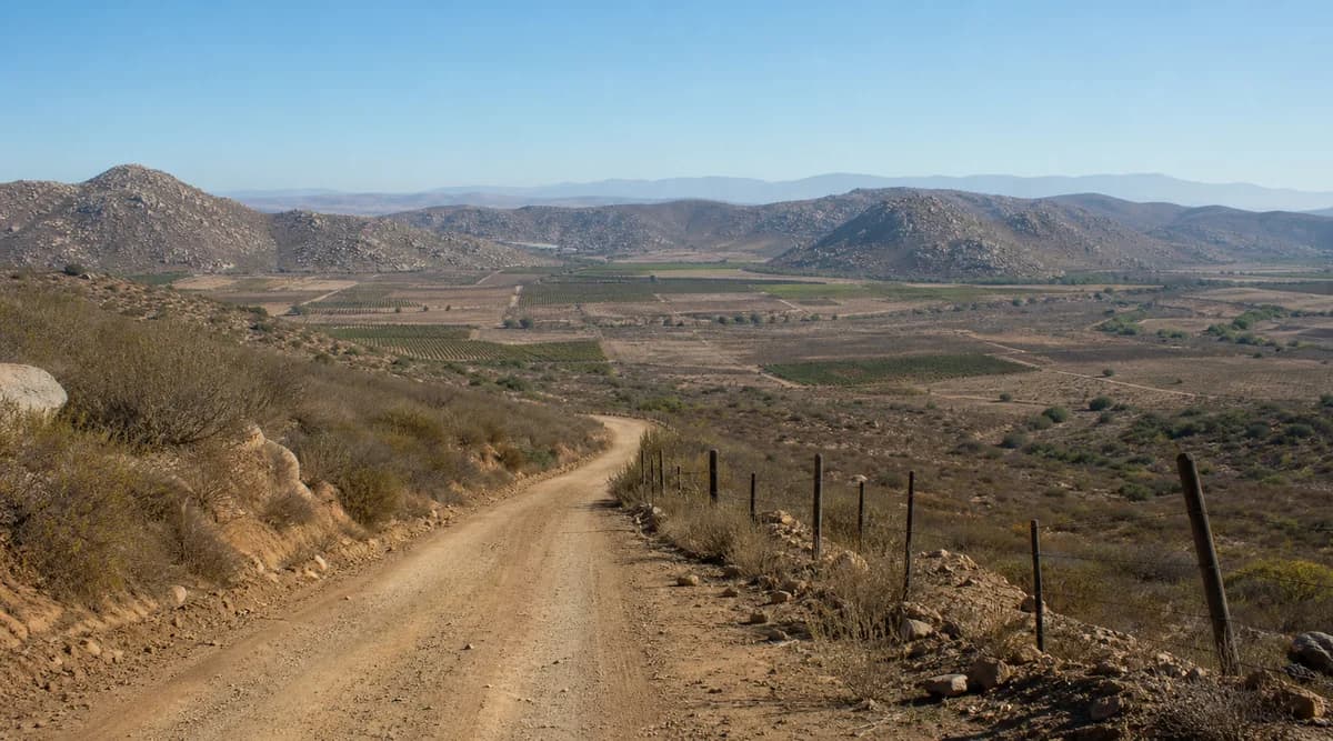 Camino rural atravesando viñedos y lomeríos del Valle de San Vicente en Baja California