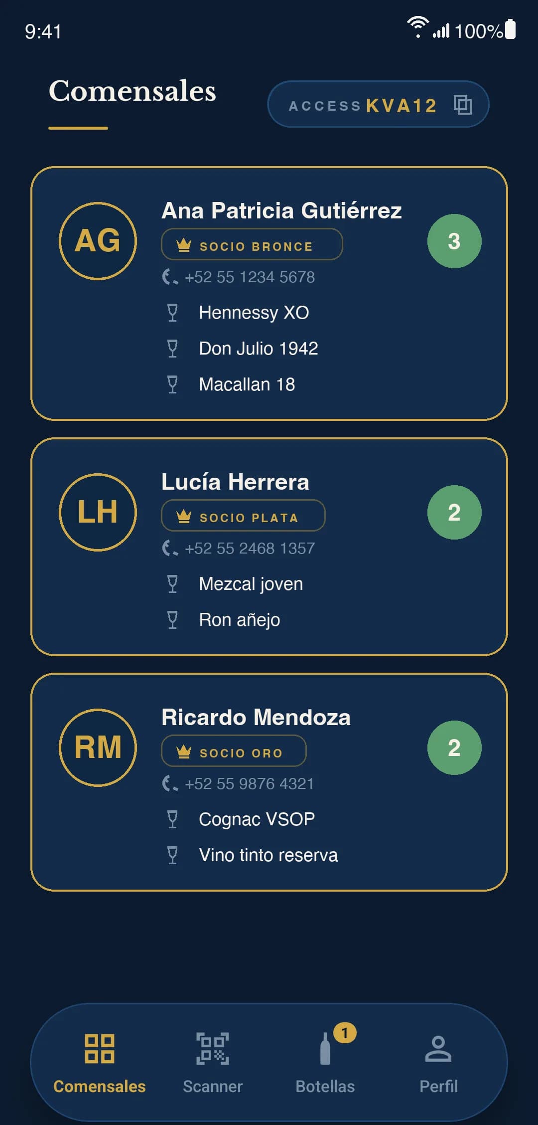 Vista de demostración de la app del equipo