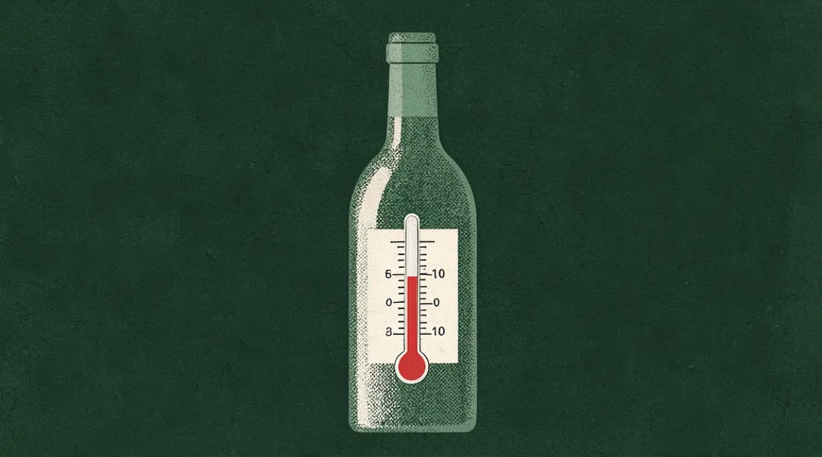 Termómetro digital mostrando temperatura ideal en cava privada