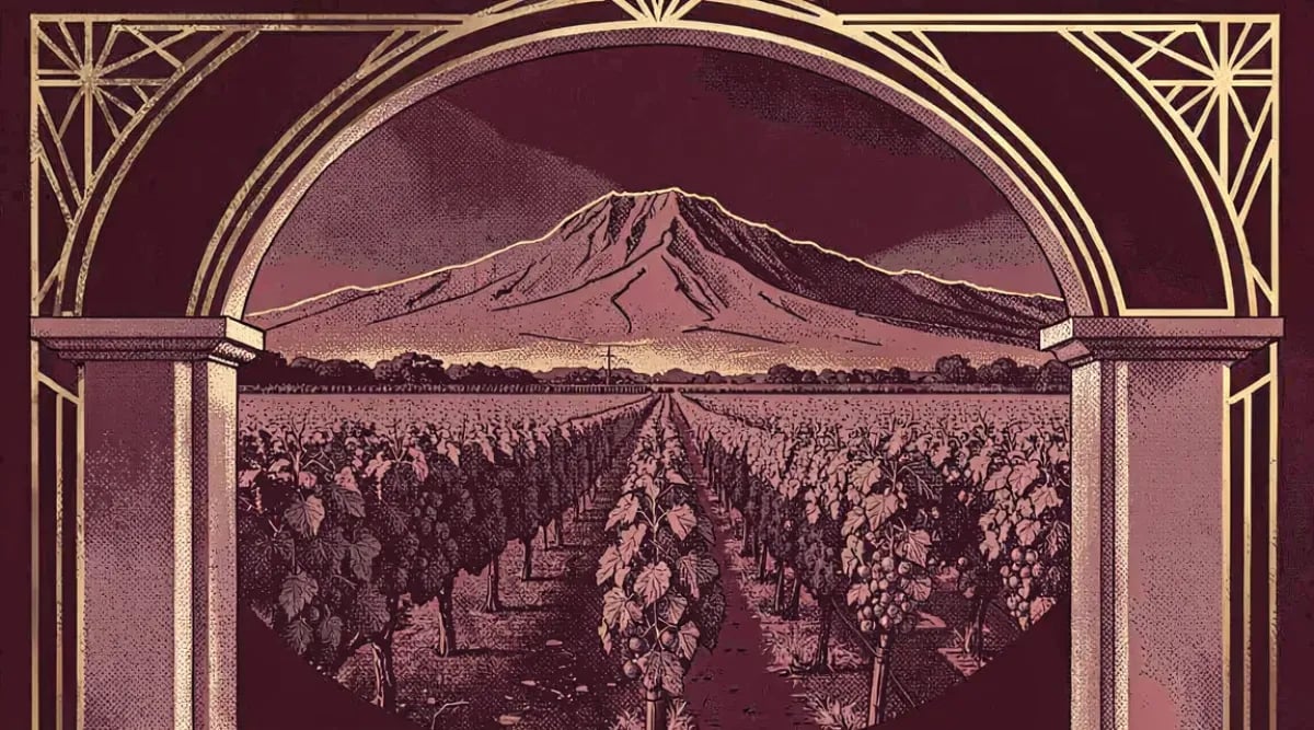 Bodega histórica de Stellenbosch con Montañas del Cabo de fondo y viñedos en primer plano