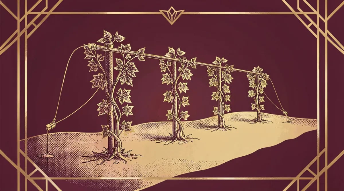 Vinedos tecnologicos en el desierto de Israel