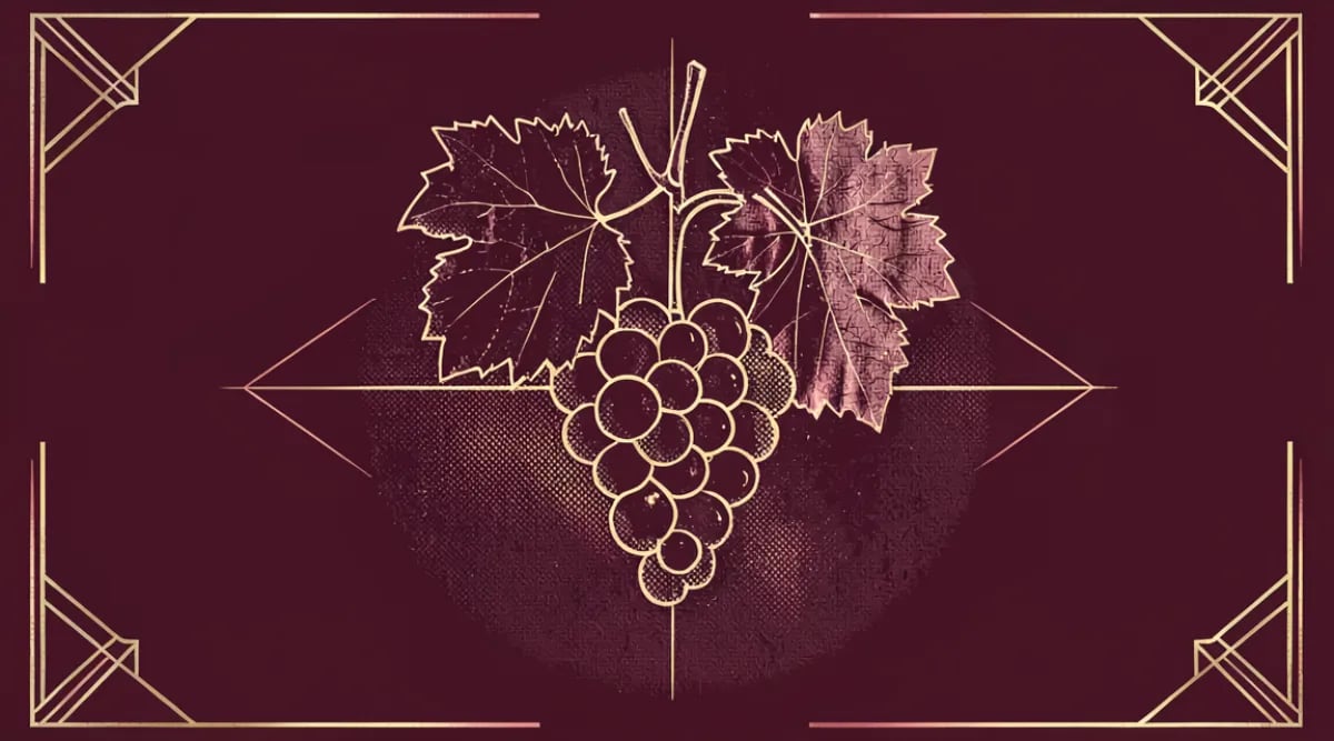 Uva Mourvèdre racimo viñedo costero