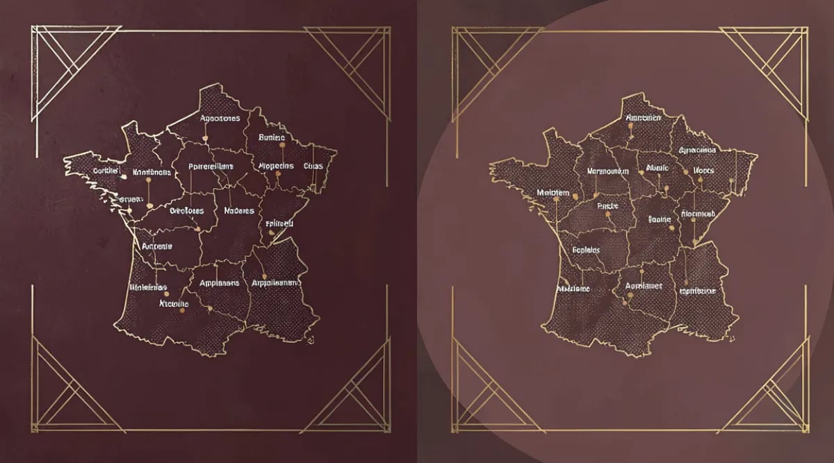Mapa ilustrado de las 16 regiones vinícolas de Francia con variedades principales
