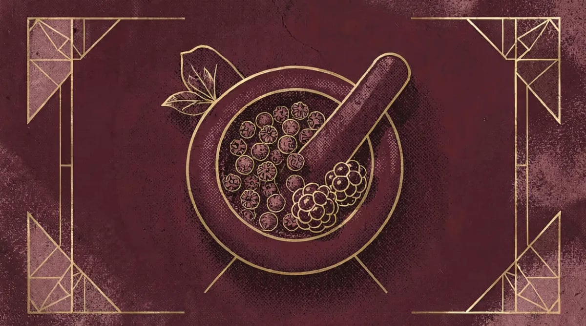 Racimo de uva Syrah oscuro y denso en viñedo del Ródano