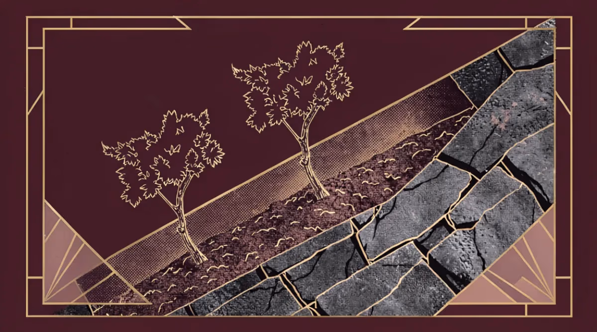 Viñedos del Priorat sobre suelo de pizarra llicorella con terrazas