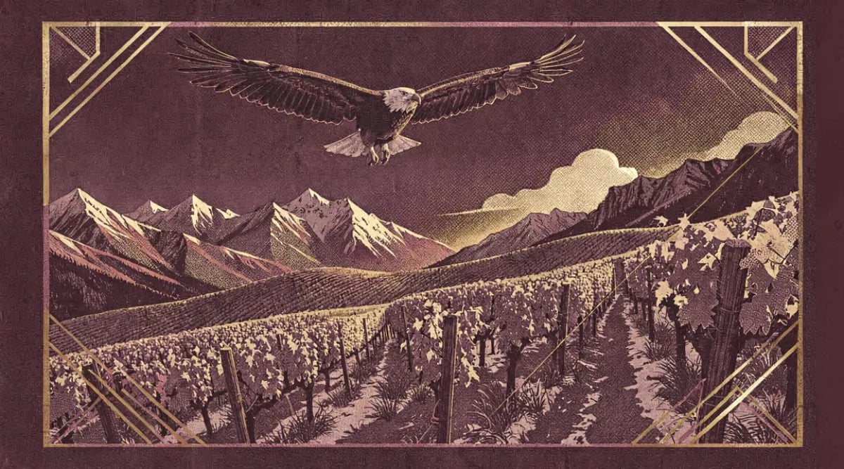 Viñedos de Salta Argentina altitud extrema