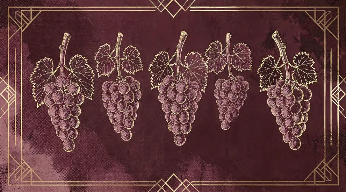 Racimos de uvas tintas raras como Xinomavro y Sagrantino en viñedos europeos